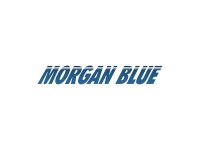 Morgan Blue